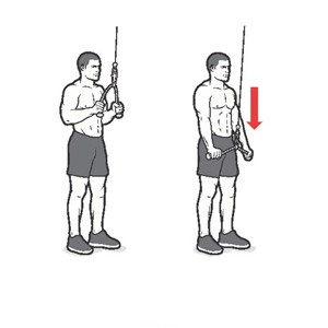 Week 1 - Exercise Manual