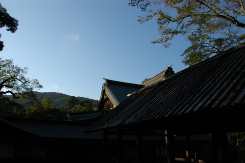 DSC_1473.JPG