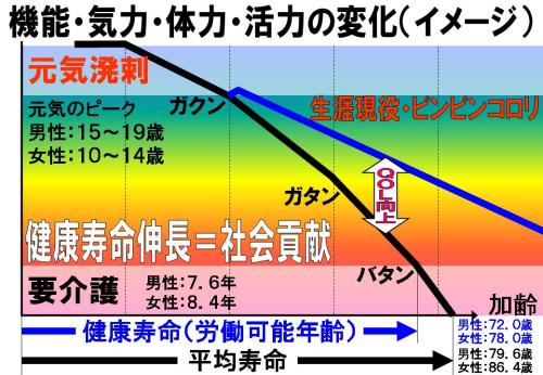 機能・気力・体力・活力の変化（イメージ）.jpg