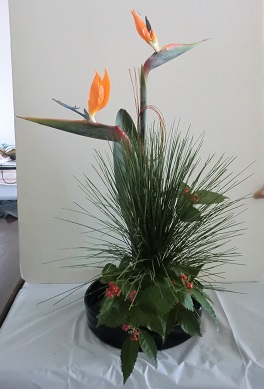 お正月花 いけばな日記 楽天ブログ