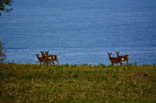 DSC_0622.jpg
