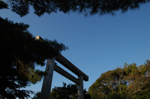 DSC_1492.JPG