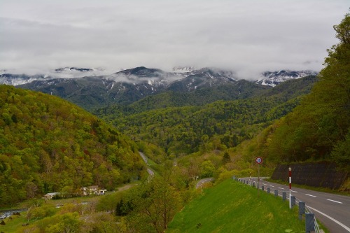 DSC_0537.jpg
