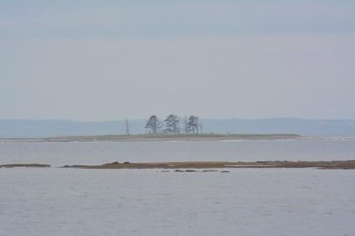 DSC_0998.jpg