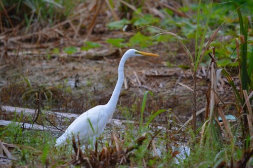 DSC_0880.jpg
