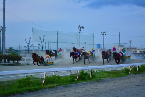 DSC_0621.jpg
