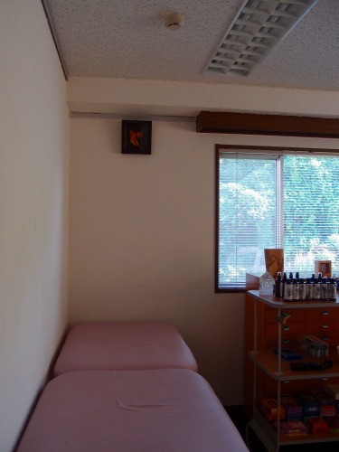 P8316755.jpg