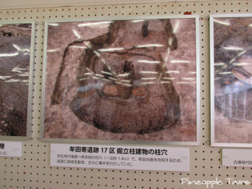 東名遺跡、東名縄文館 （画像） Pineapple Tours 楽天ブログ