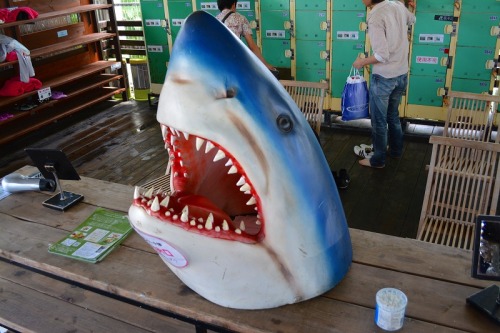 DSC_0578.jpg