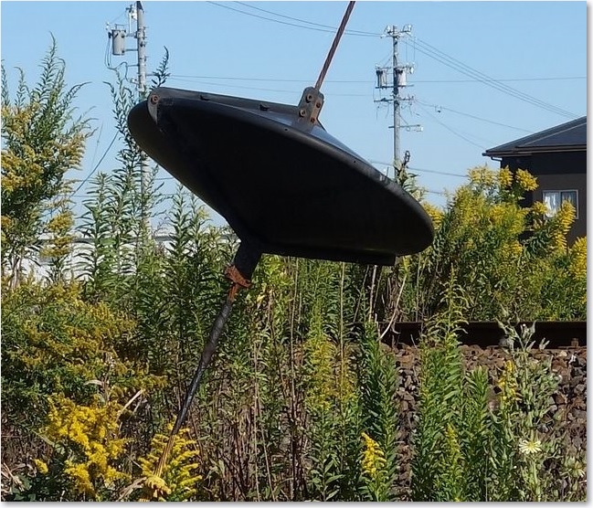 25珍しいオブジェクトR