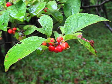 150829-09.JPG
