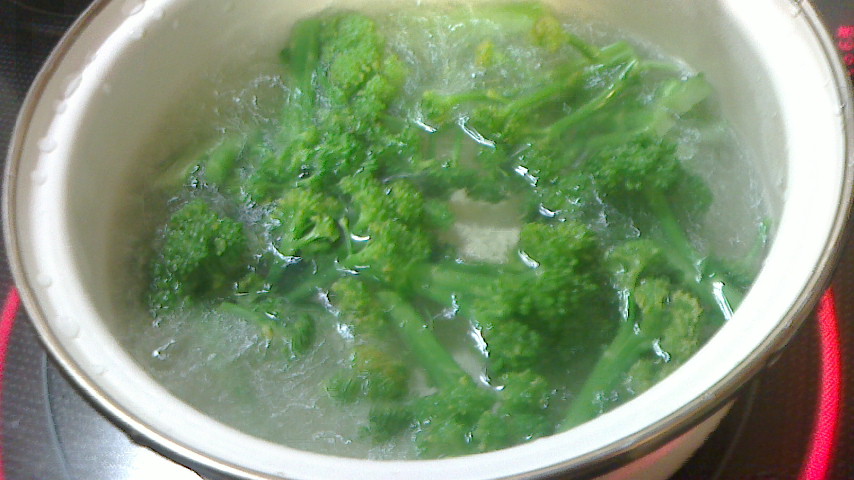 NEC_0175.JPG