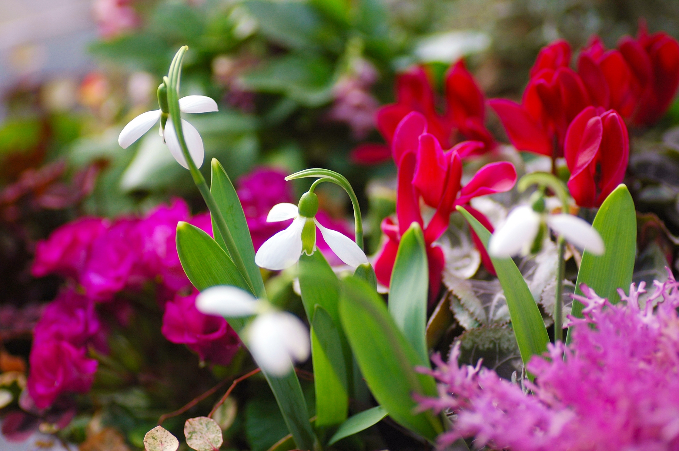 DSC_0846 - コピー.JPG