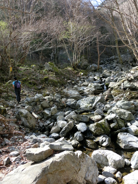 八経ヶ岳・稲村ヶ岳2012 066.JPG