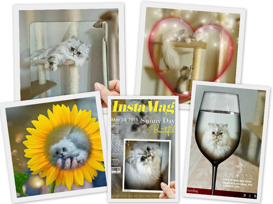 PIP CAMERAスマホ.jpg