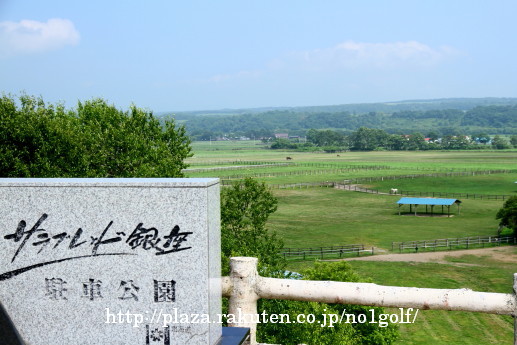 IMG_146311_1.jpg