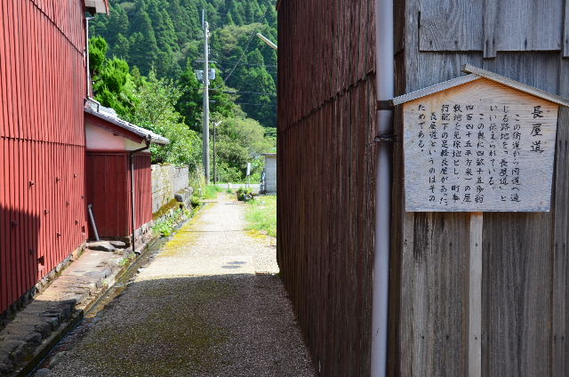 DSC_3451.JPG