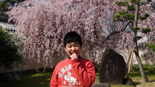 dc0330132.jpg