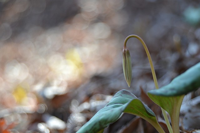 0322-3.jpg