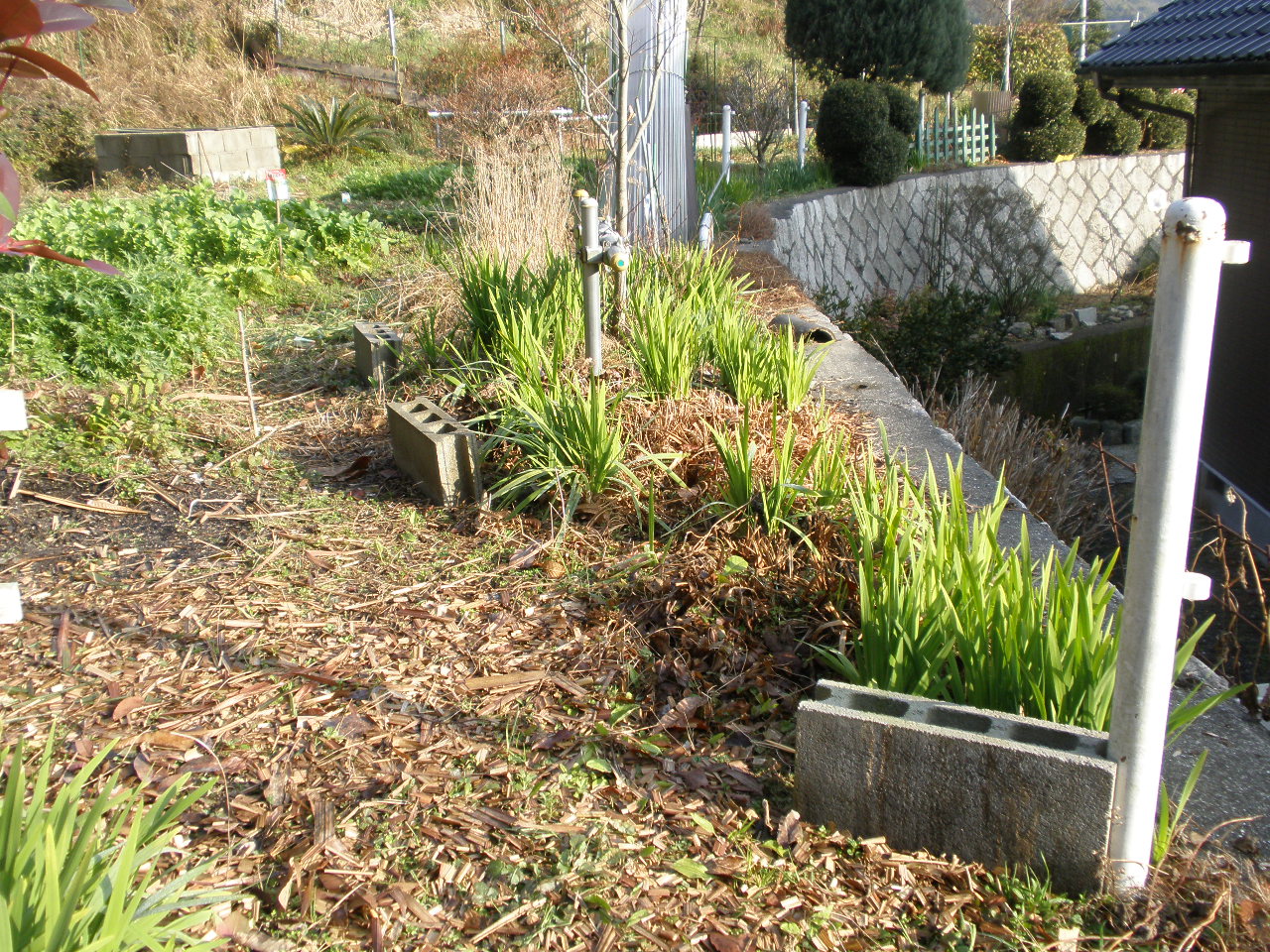 P2012567.JPG