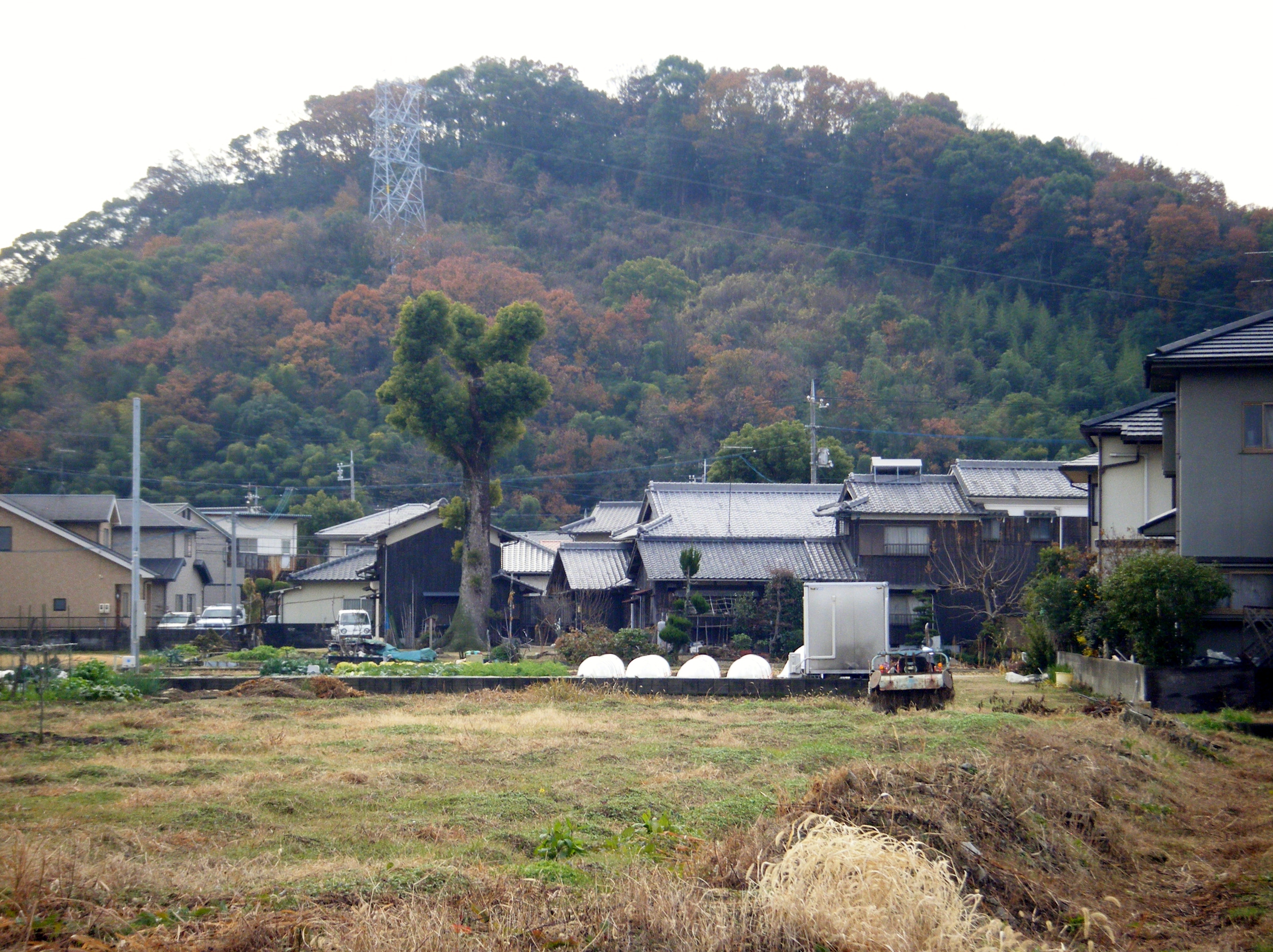DSCF2324.JPG