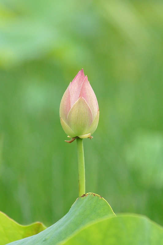 0623-2.jpg