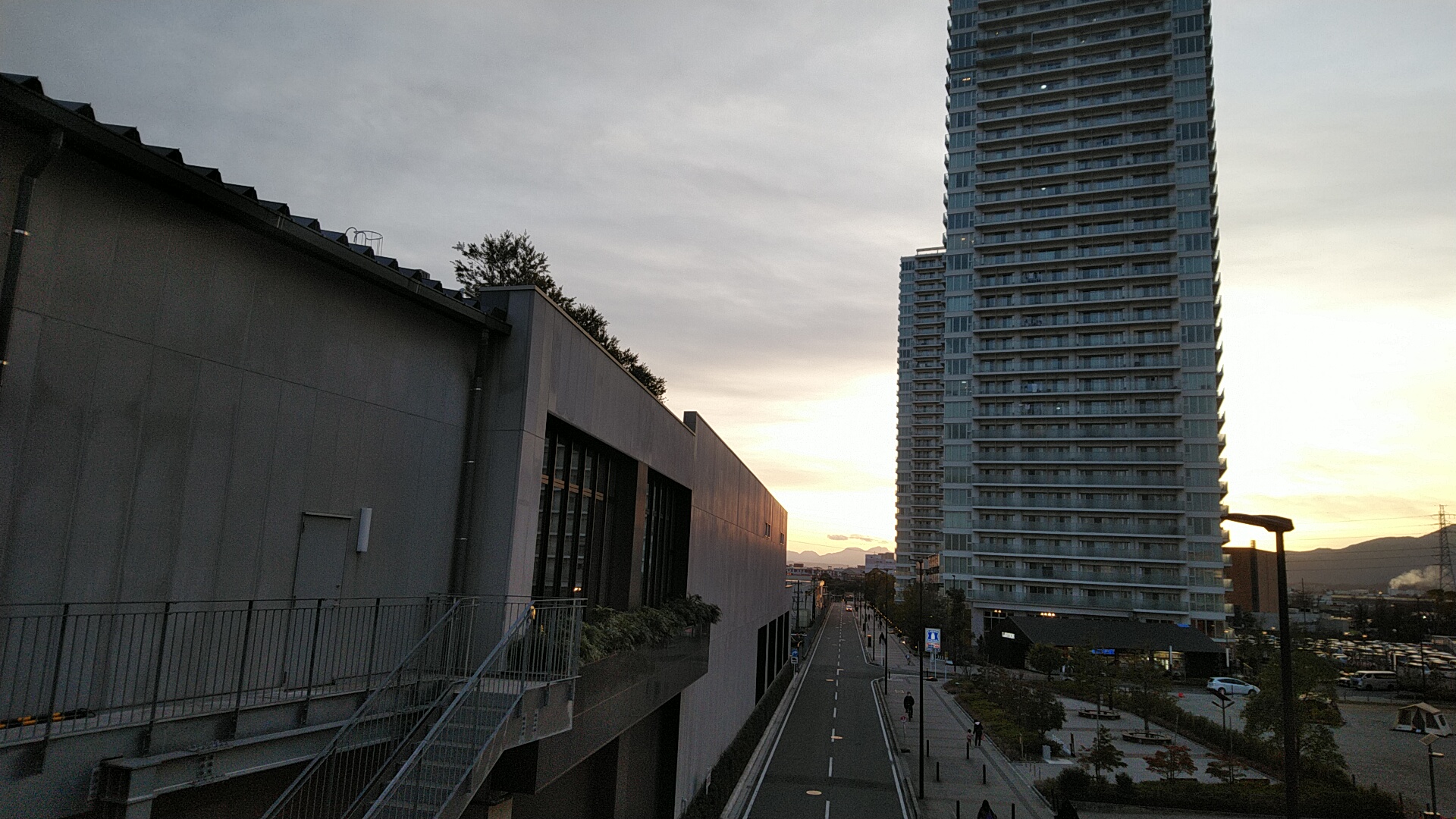 20230126  DSC_0002.jpg