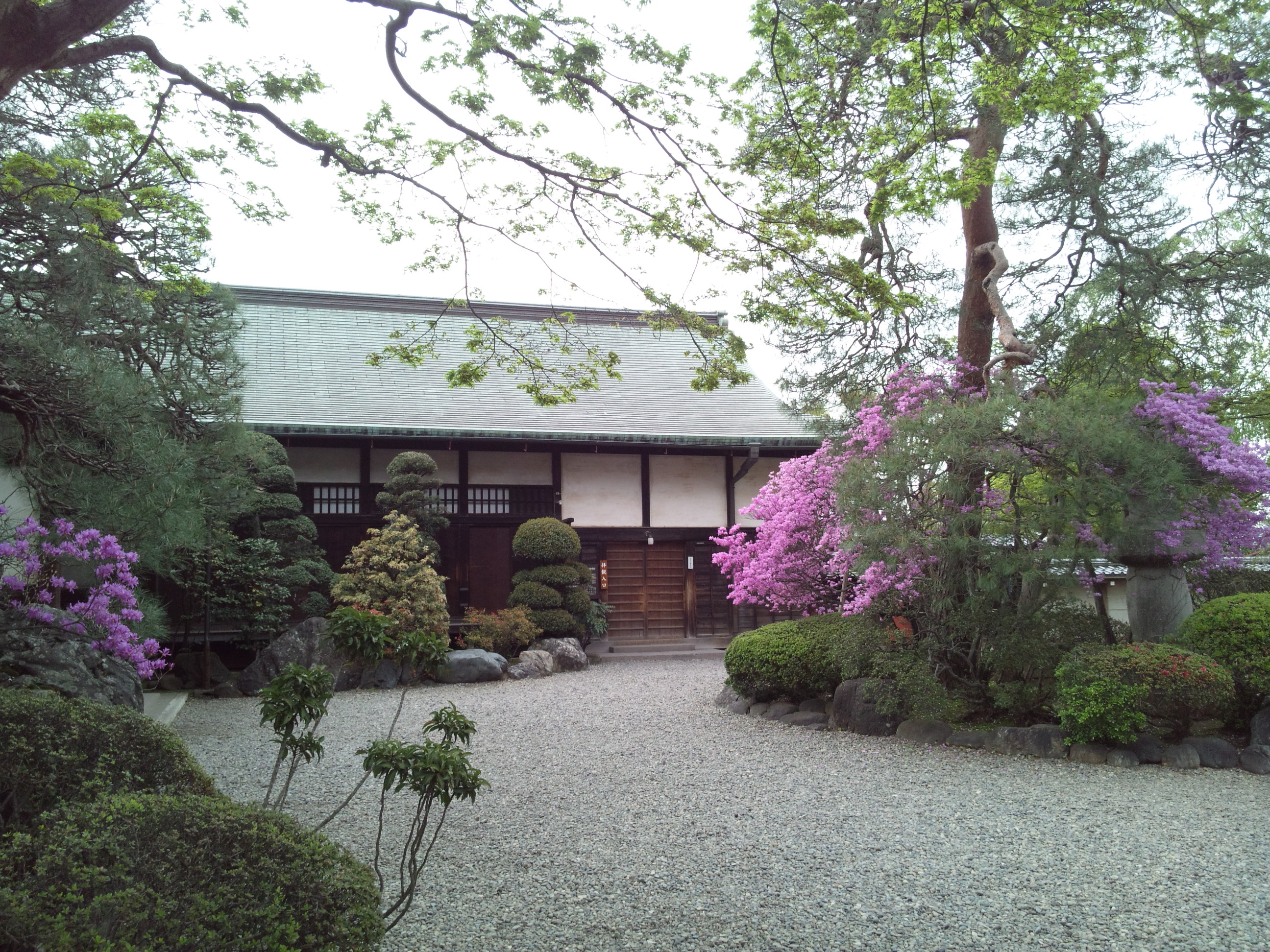160409_173008.jpg