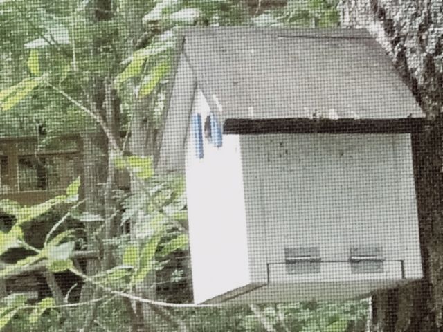250612subako_n.jpg
