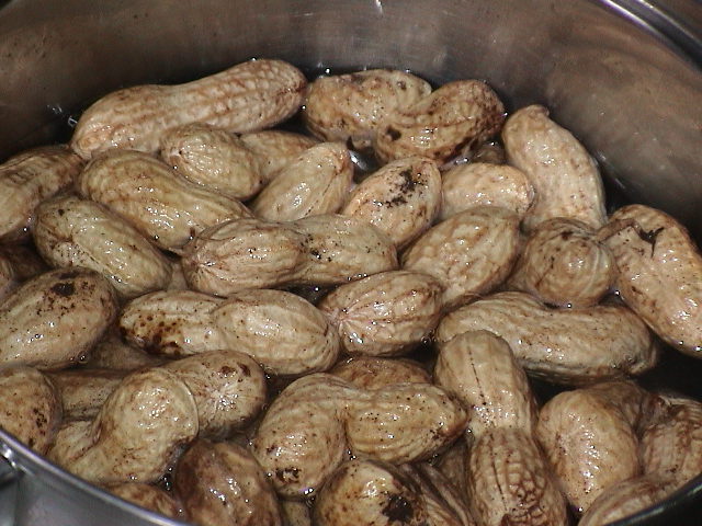 ピーナッツを茹でる (3).JPG