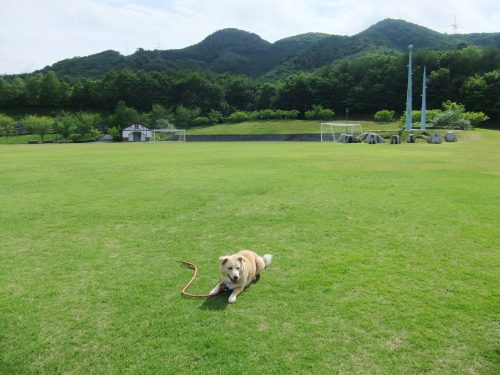 花巻広域公園にて2