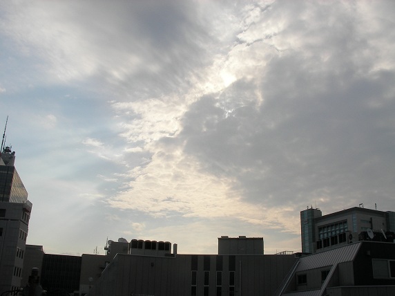 shibuya sky.jpg