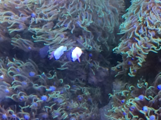 image4.jpeg