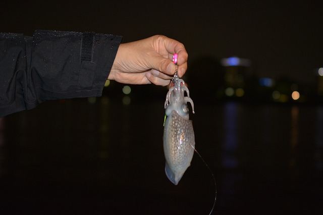 showPhoto (640×426)