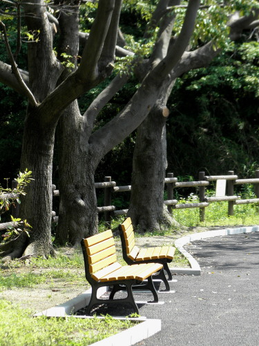 鴨志田公園２　12.05.26.jpg