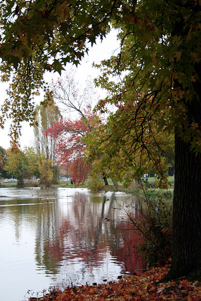 Bois_Boulogne_Lac_automne.jpg