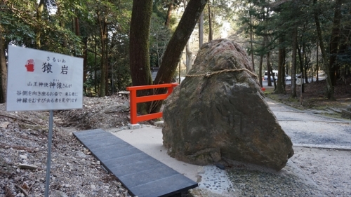 20160322 16091801.JPG