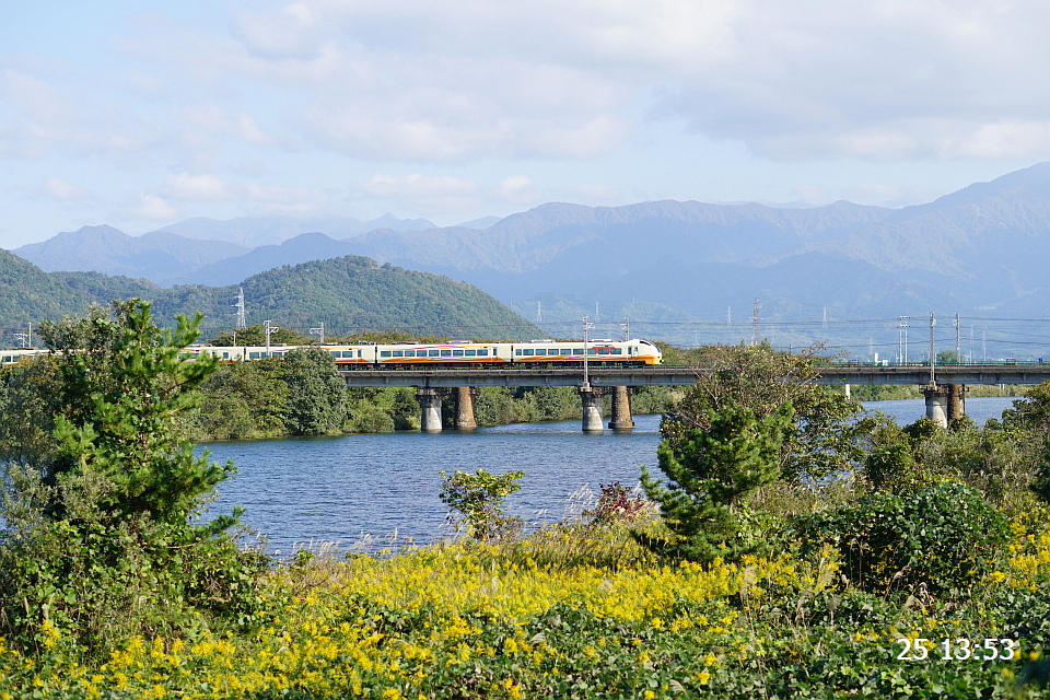 DSC049550001.JPG