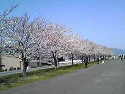 250330f.jpg