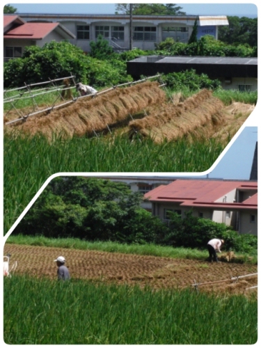 2014-08-06-22-13-21_deco (480x640).jpg