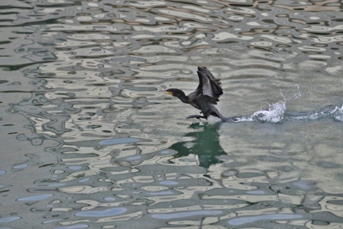 CJ9I0300 (640x427) (2).jpg