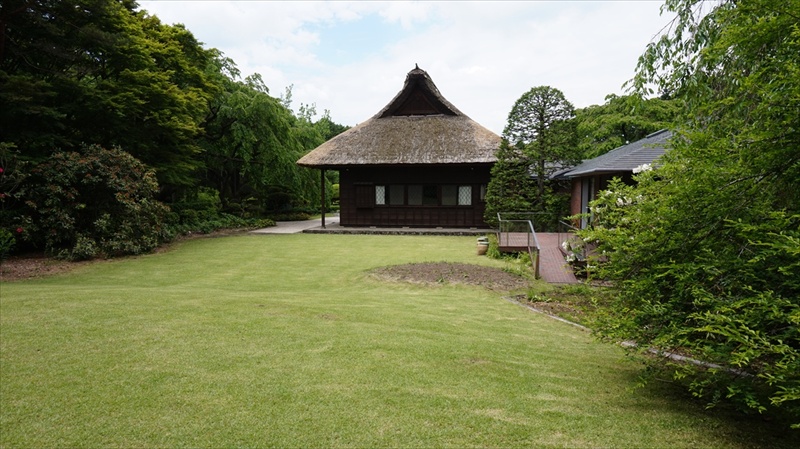 20150525 11221001.JPG