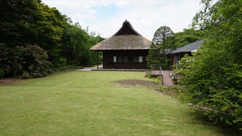 20150525 11221001.JPG