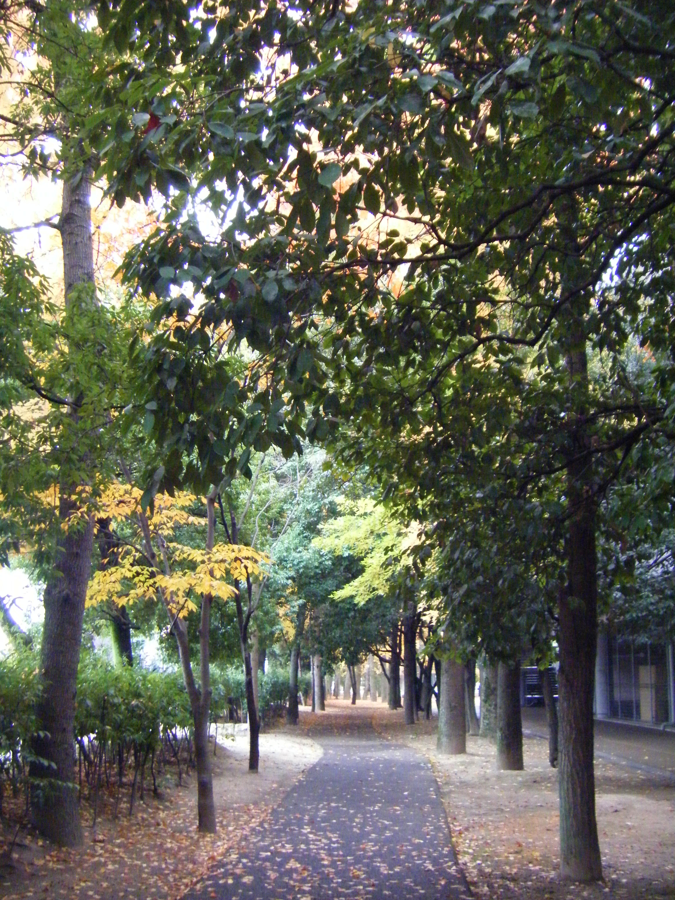 111.JPG