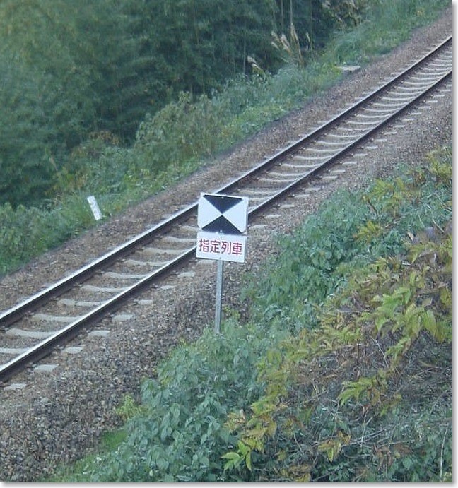 20指定列車とは？R