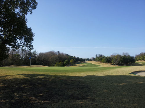 20130404 おおむらさき.jpg