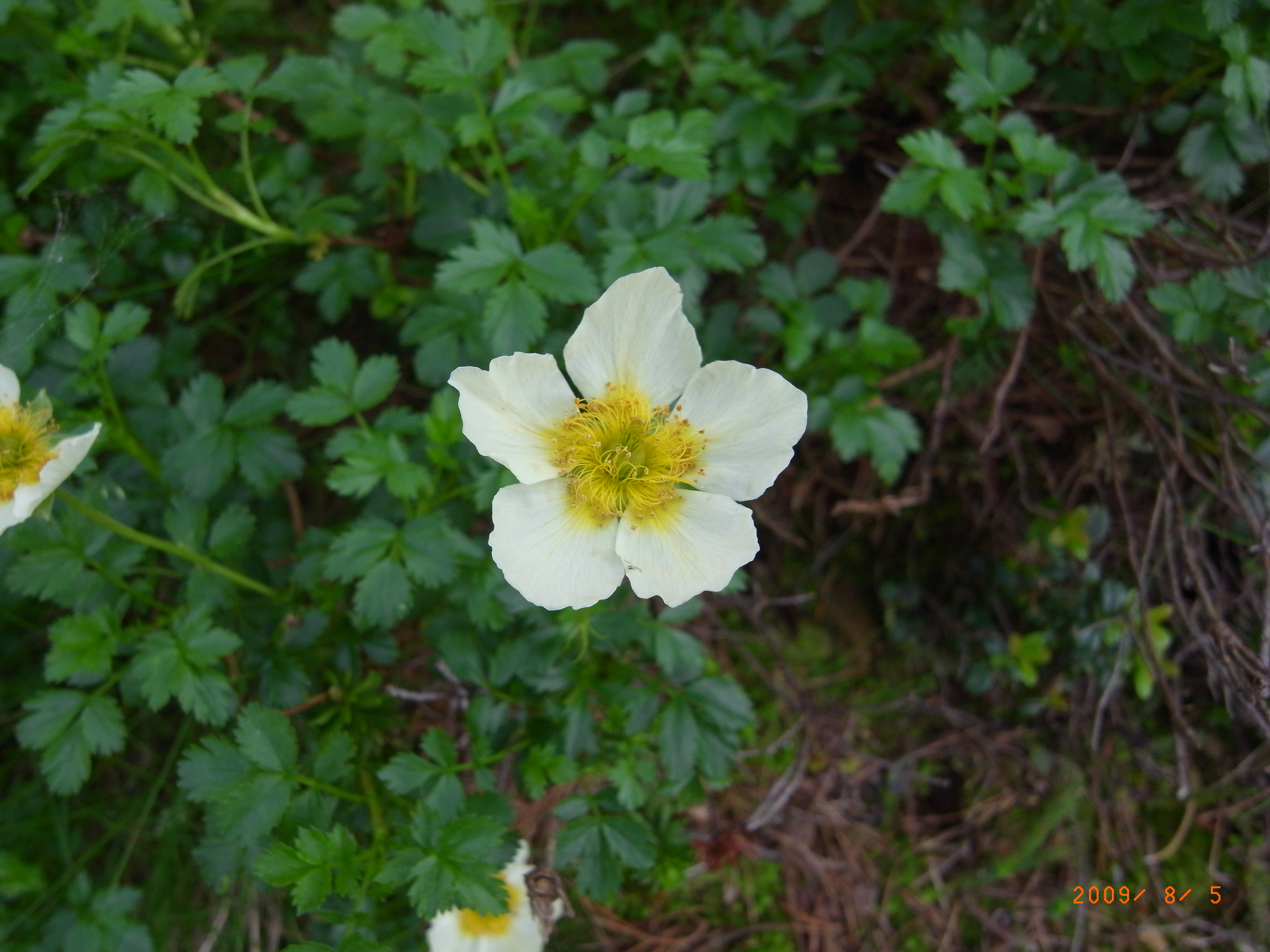 R0011836.JPG