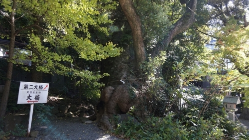 20151127 10591501.jpg