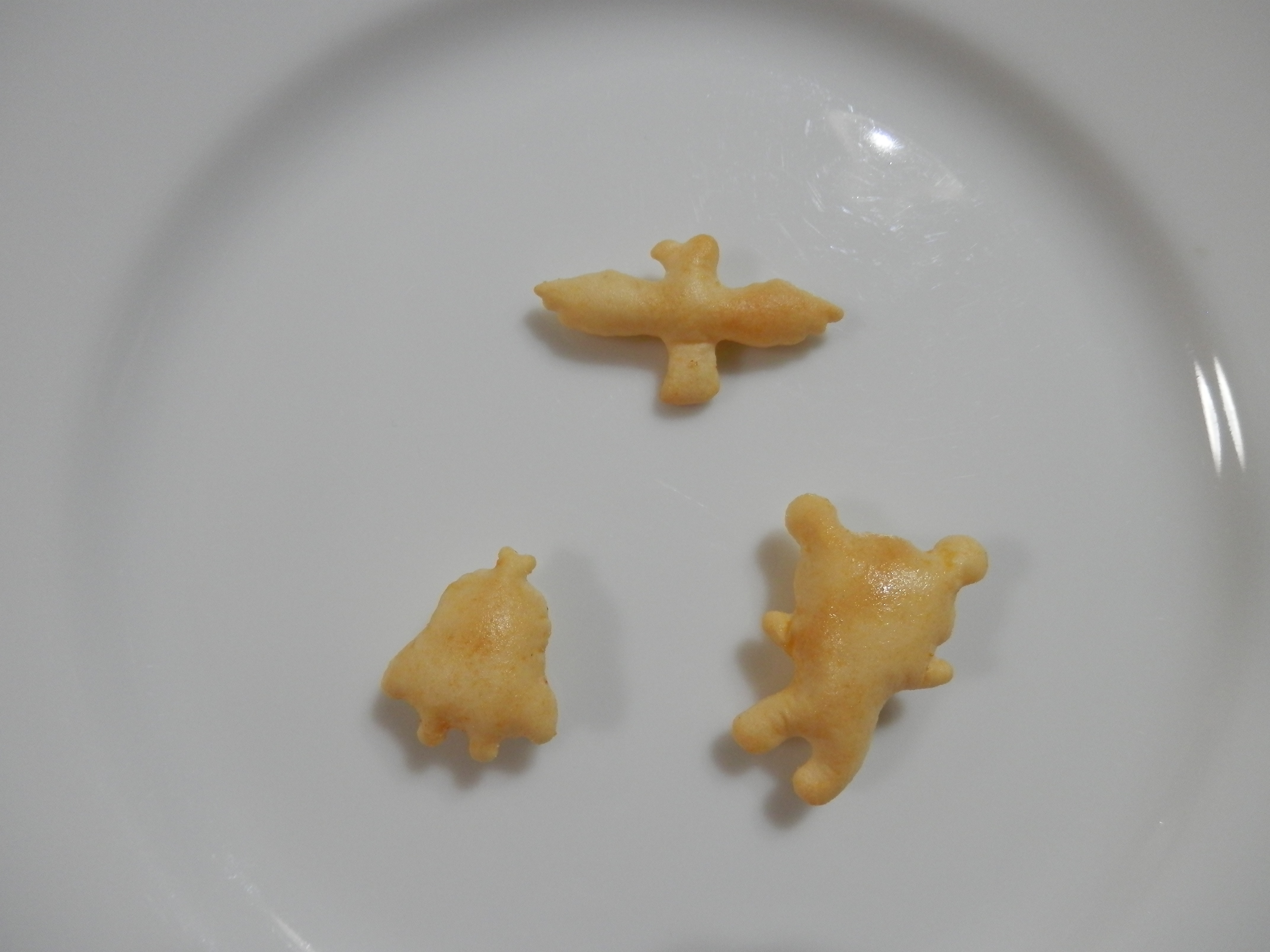 PB114042.JPG
