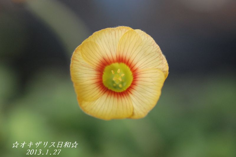 DSC_6197.JPG